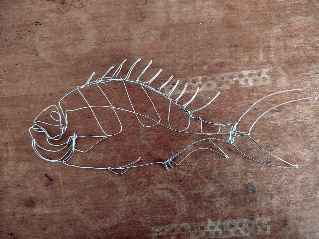 Macolor niger, wire sculpture by Nilo Saba